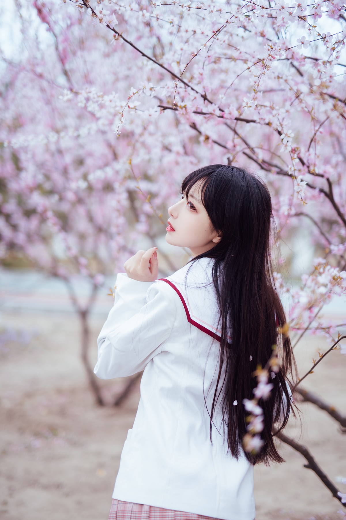 Shika小鹿鹿-樱花50-COS世界