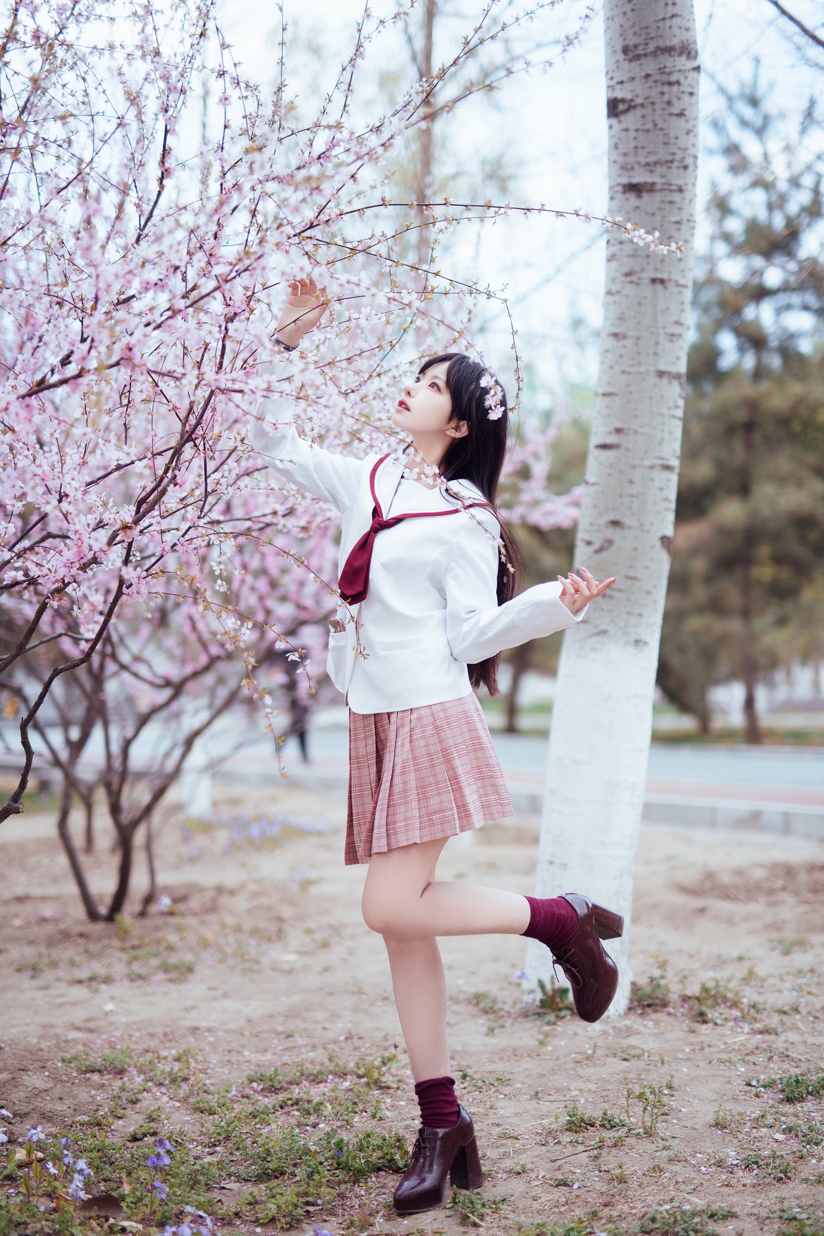 图片[2]-Shika小鹿鹿-樱花50-COS世界