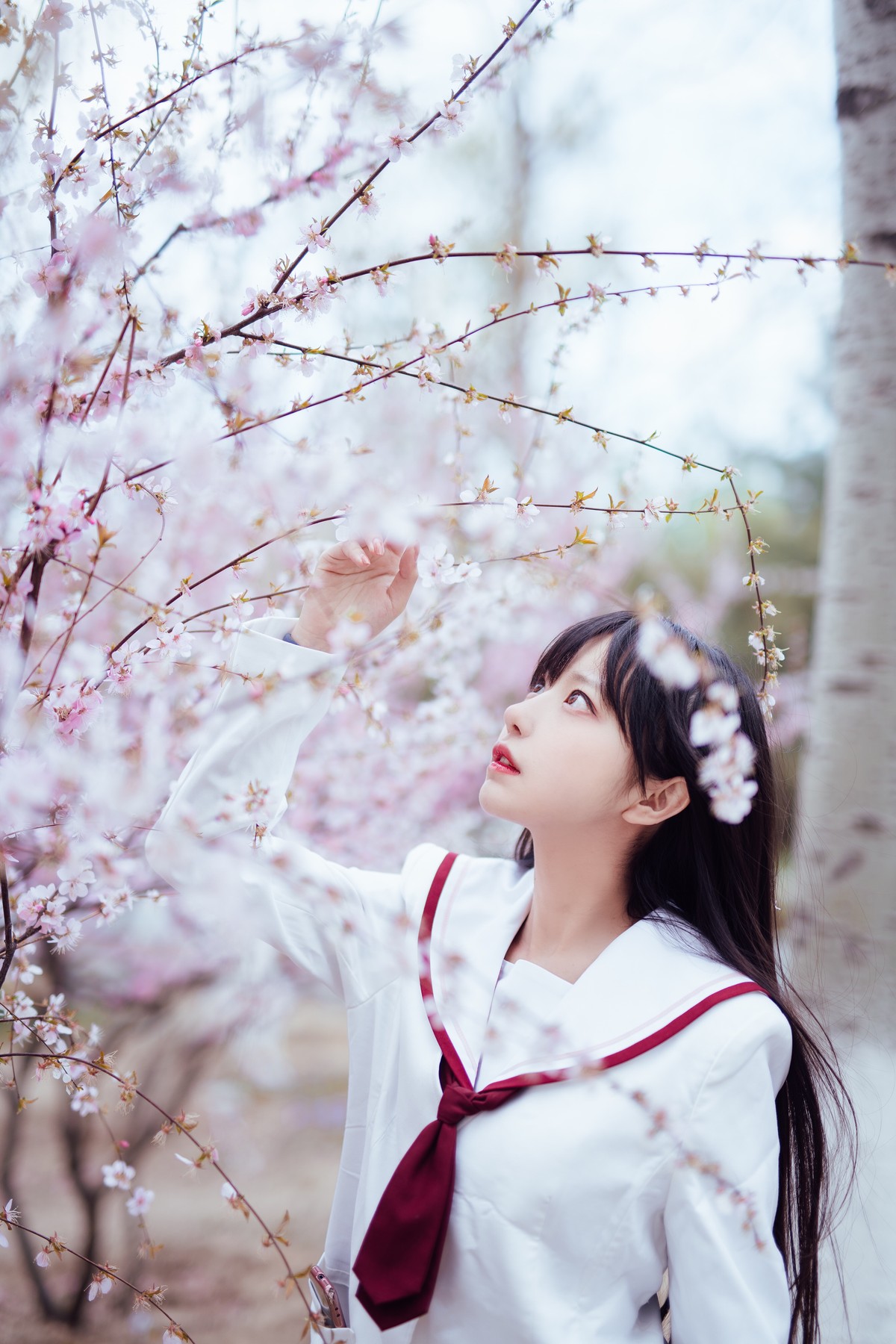 图片[4]-Shika小鹿鹿-樱花50-COS世界