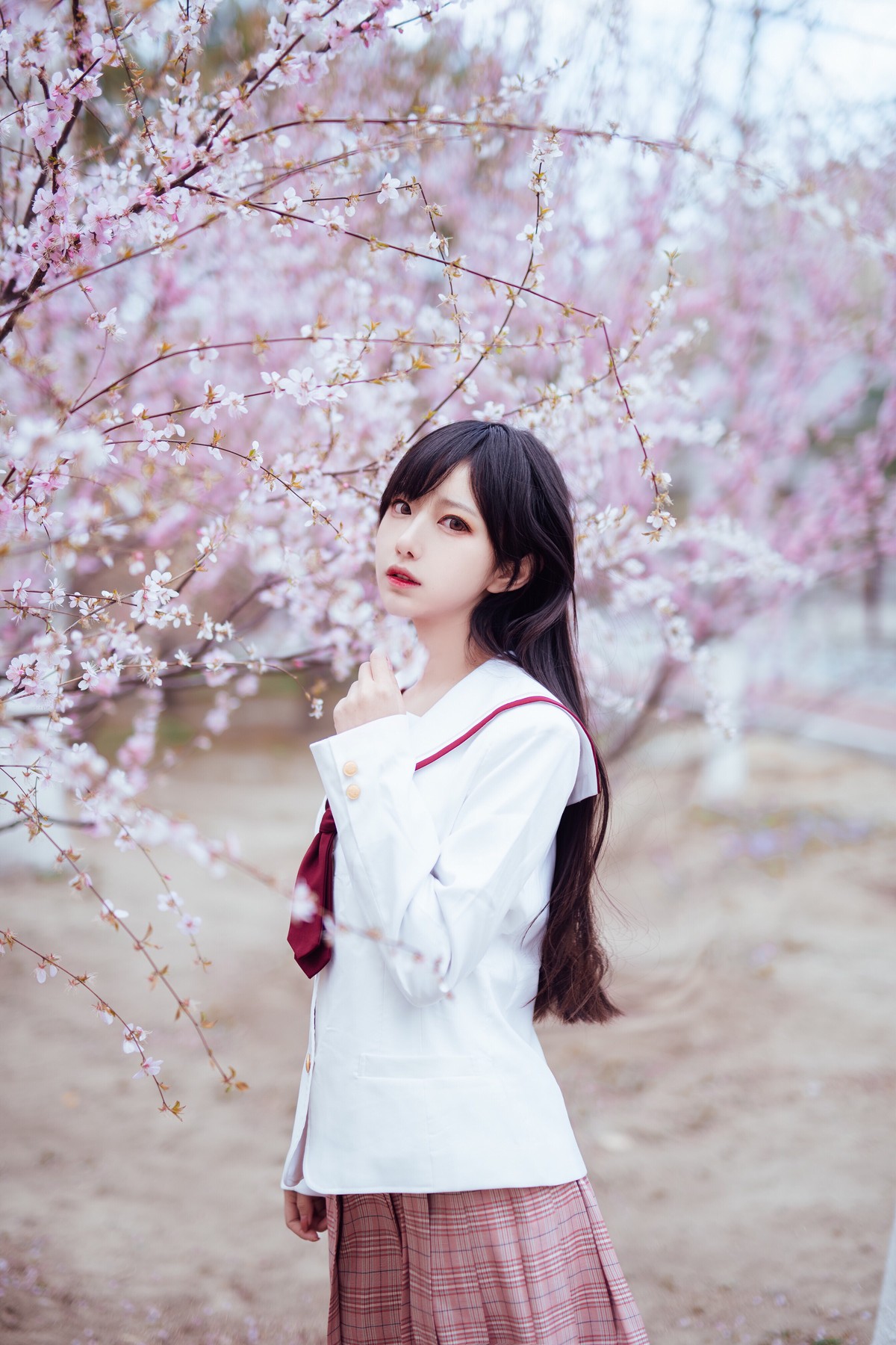图片[5]-Shika小鹿鹿-樱花50-COS世界
